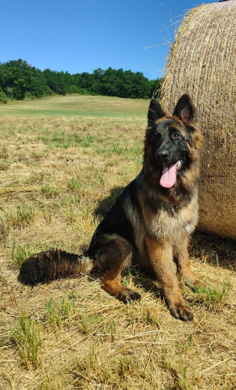 Sukha Des Crets De Charmont