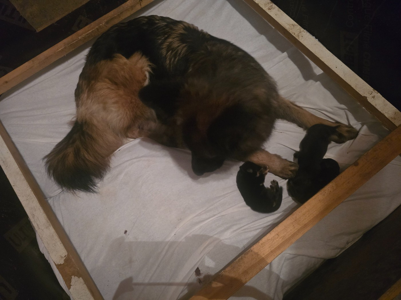 Naissance du 05/03/2026