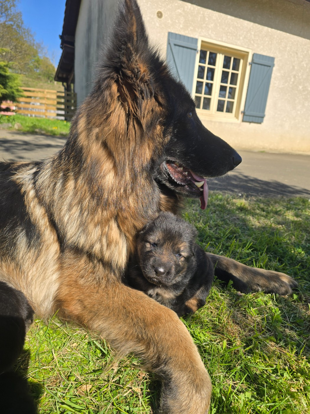 Les bébés à 3 semaines