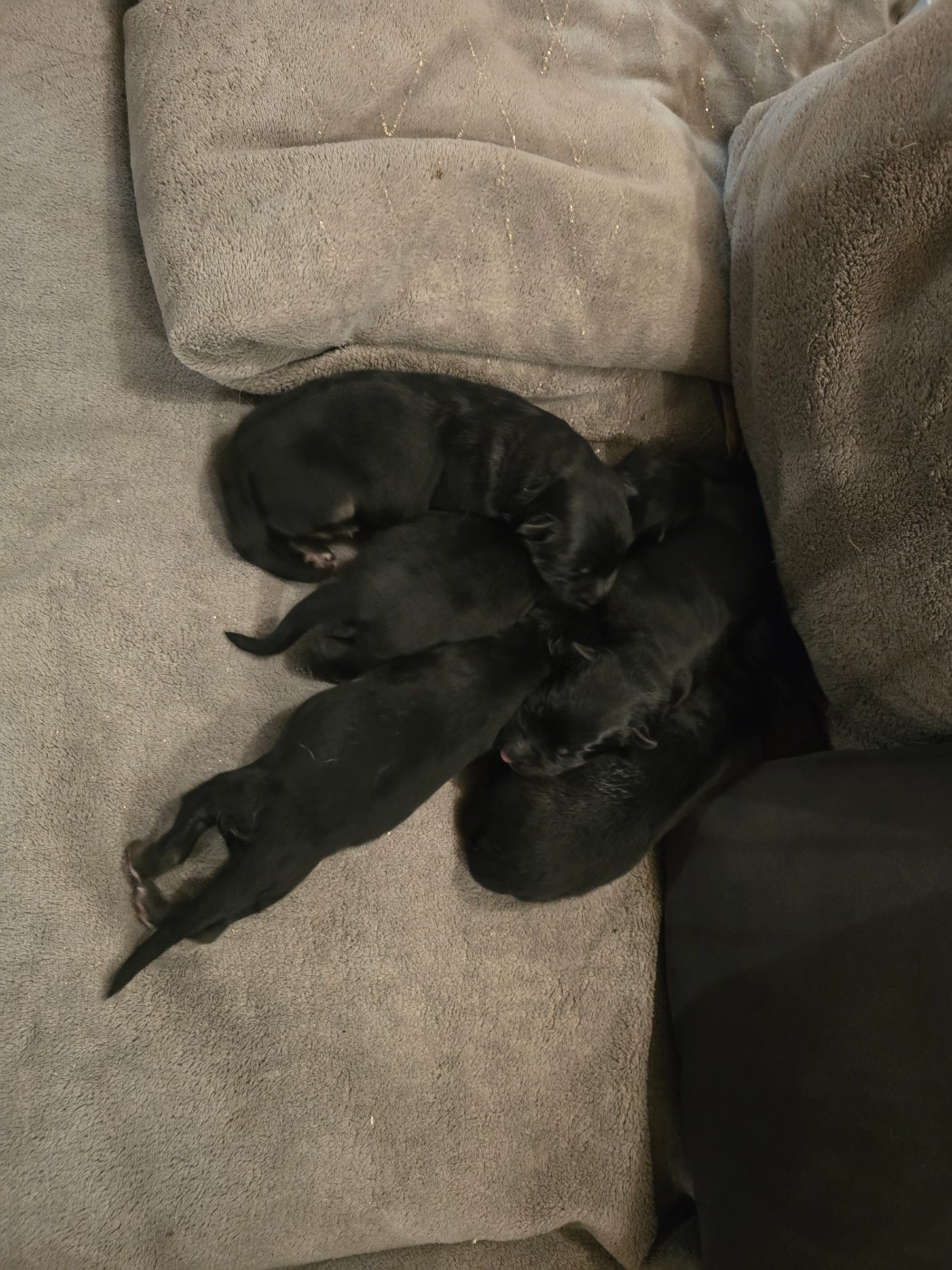 naissance du 16/09/2024