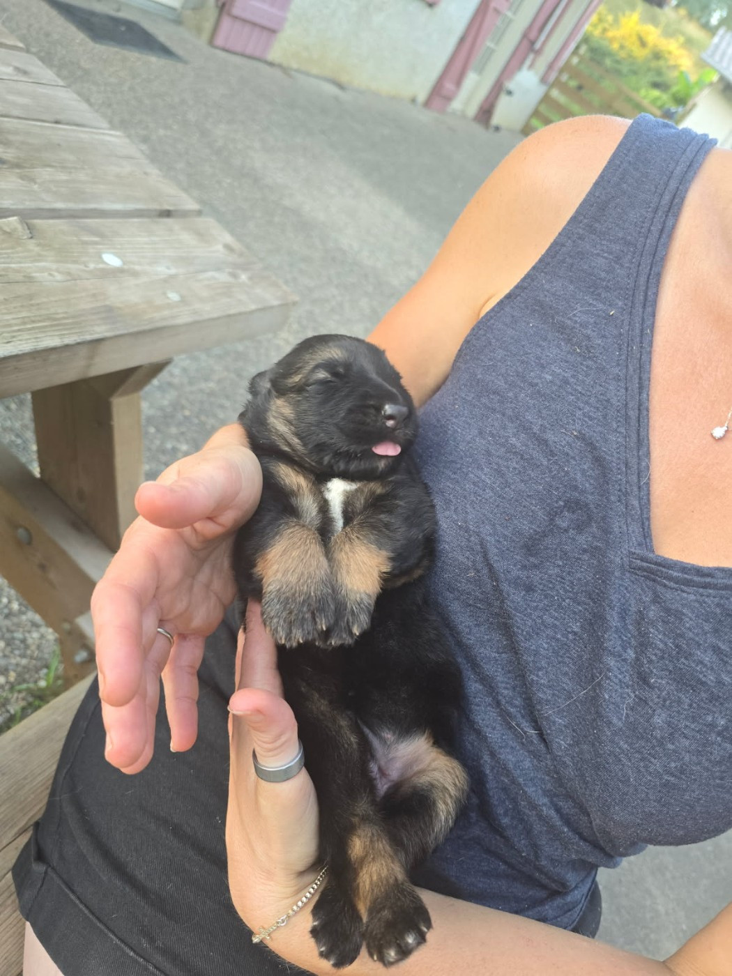 naissance du 27/08/2025